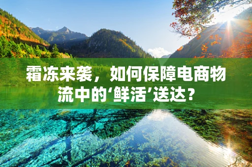 霜冻来袭，如何保障电商物流中的‘鲜活’送达？