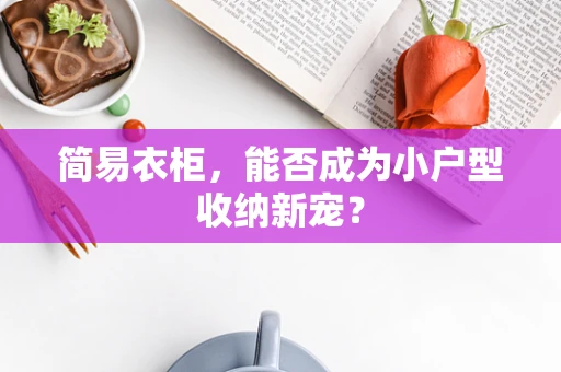 简易衣柜，能否成为小户型收纳新宠？