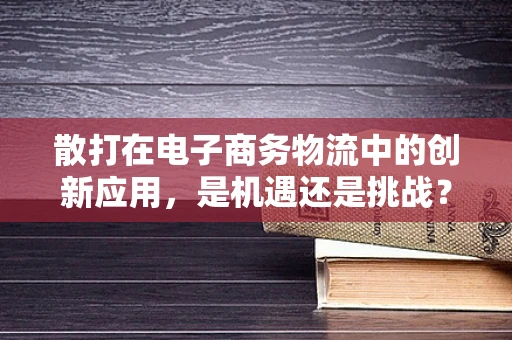 散打在电子商务物流中的创新应用，是机遇还是挑战？