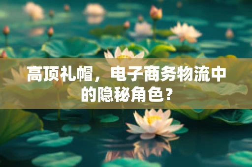 高顶礼帽，电子商务物流中的隐秘角色？