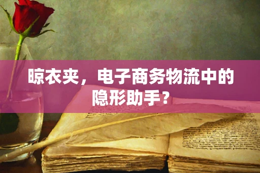 晾衣夹，电子商务物流中的隐形助手？