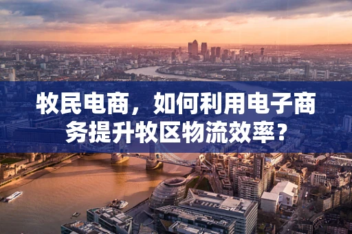 牧民电商，如何利用电子商务提升牧区物流效率？