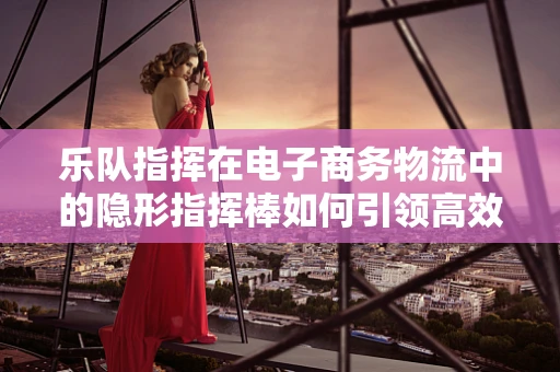 乐队指挥在电子商务物流中的隐形指挥棒如何引领高效协同？