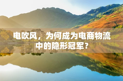 电吹风，为何成为电商物流中的隐形冠军？
