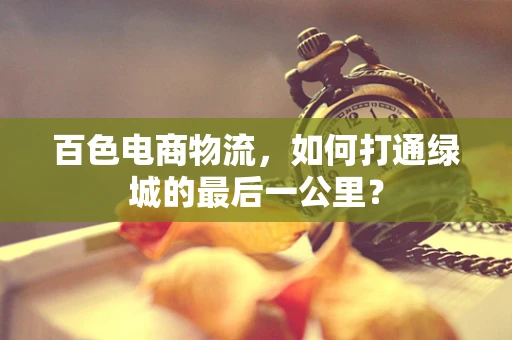 百色电商物流，如何打通绿城的最后一公里？