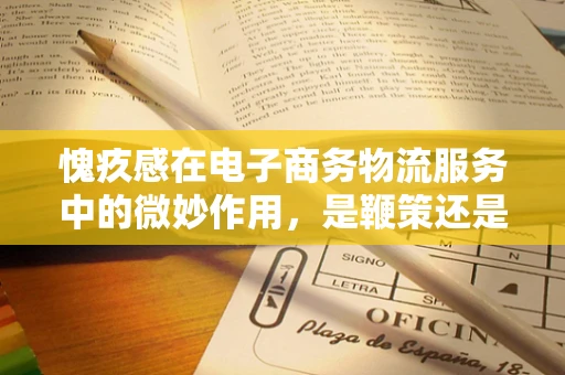 愧疚感在电子商务物流服务中的微妙作用，是鞭策还是负担？