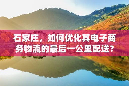 石家庄，如何优化其电子商务物流的最后一公里配送？