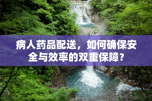 病人药品配送，如何确保安全与效率的双重保障？
