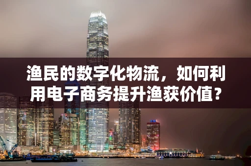 渔民的数字化物流，如何利用电子商务提升渔获价值？