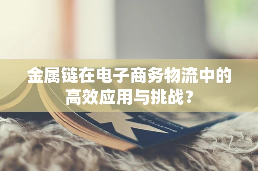 金属链在电子商务物流中的高效应用与挑战？