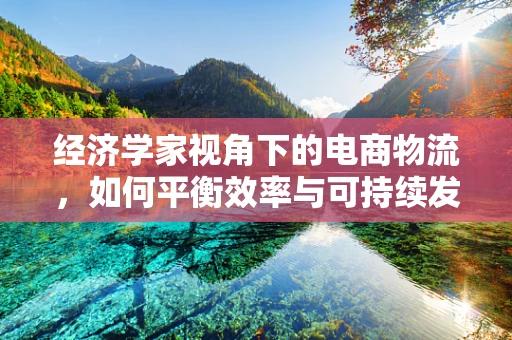 经济学家视角下的电商物流，如何平衡效率与可持续发展？