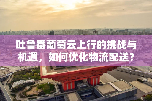 吐鲁番葡萄云上行的挑战与机遇，如何优化物流配送？