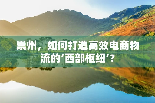 崇州，如何打造高效电商物流的‘西部枢纽’？