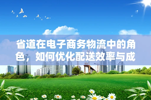 省道在电子商务物流中的角色，如何优化配送效率与成本？