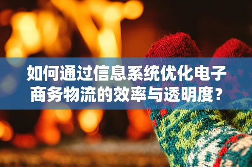 如何通过信息系统优化电子商务物流的效率与透明度？