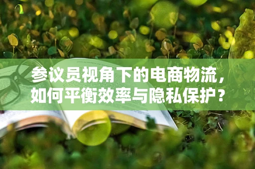 参议员视角下的电商物流，如何平衡效率与隐私保护？