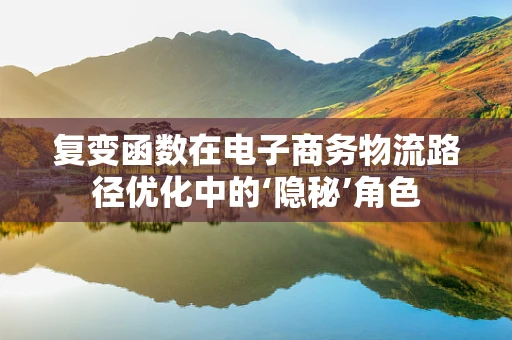 复变函数在电子商务物流路径优化中的‘隐秘’角色