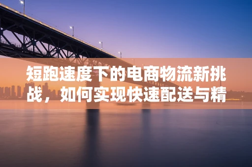 短跑速度下的电商物流新挑战，如何实现快速配送与精准服务？