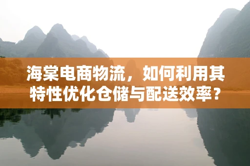 海棠电商物流，如何利用其特性优化仓储与配送效率？