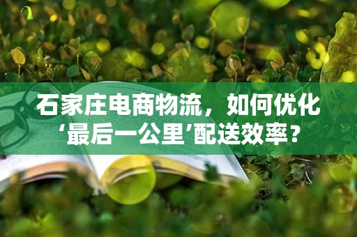 石家庄电商物流，如何优化‘最后一公里’配送效率？