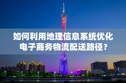 如何利用地理信息系统优化电子商务物流配送路径？