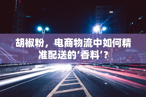 胡椒粉，电商物流中如何精准配送的‘香料’？