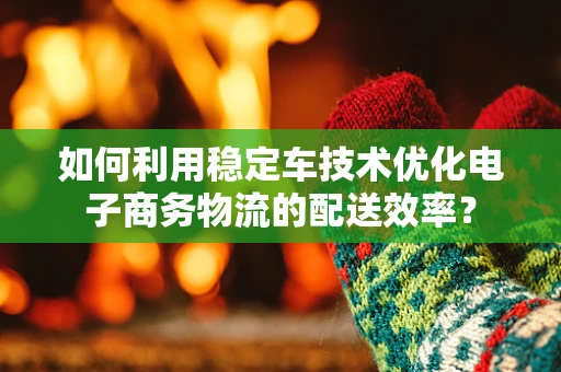 如何利用稳定车技术优化电子商务物流的配送效率？