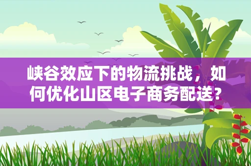 峡谷效应下的物流挑战，如何优化山区电子商务配送？