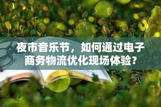 夜市音乐节，如何通过电子商务物流优化现场体验？