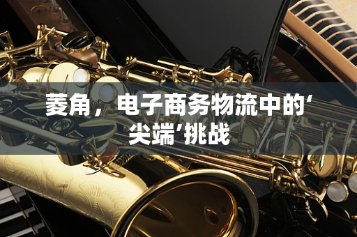菱角，电子商务物流中的‘尖端’挑战