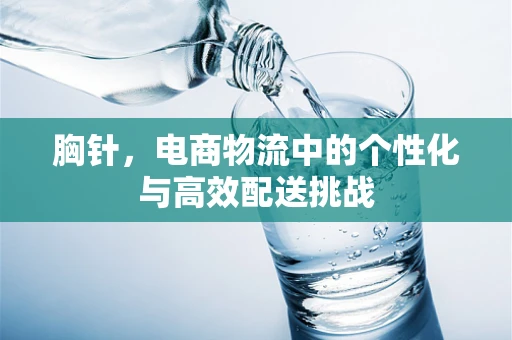 胸针，电商物流中的个性化与高效配送挑战