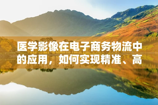 医学影像在电子商务物流中的应用，如何实现精准、高效的商品检查？