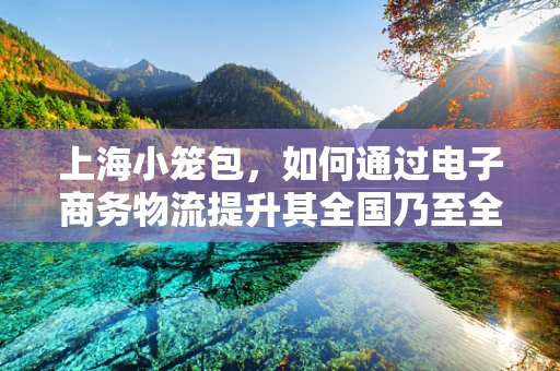 上海小笼包，如何通过电子商务物流提升其全国乃至全球的销量与新鲜度？