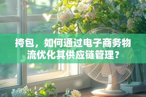 挎包，如何通过电子商务物流优化其供应链管理？