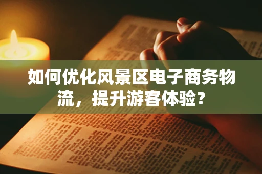 如何优化风景区电子商务物流，提升游客体验？