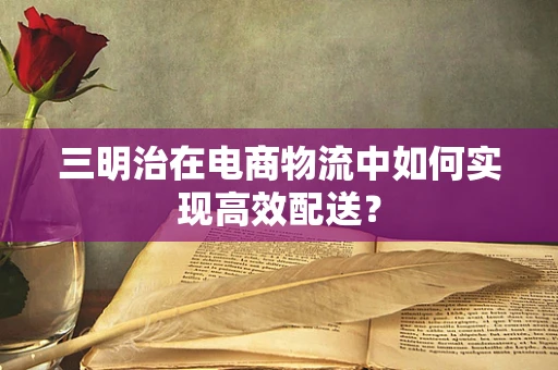 三明治在电商物流中如何实现高效配送？