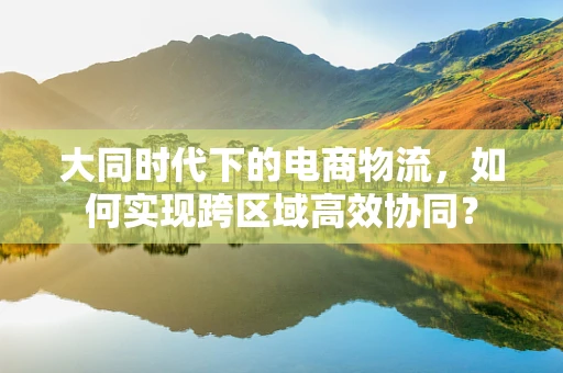 大同时代下的电商物流，如何实现跨区域高效协同？