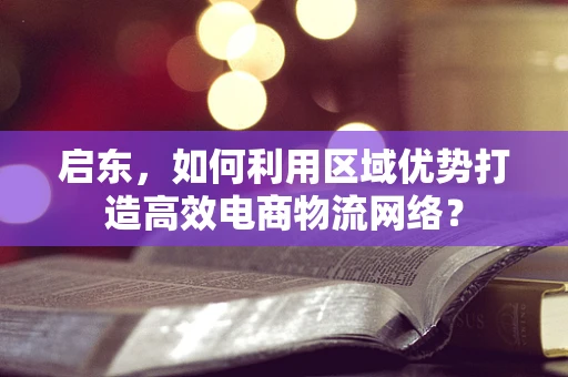 启东，如何利用区域优势打造高效电商物流网络？