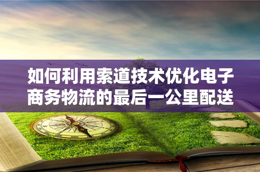 如何利用索道技术优化电子商务物流的最后一公里配送？