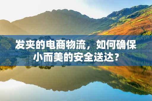 发夹的电商物流，如何确保小而美的安全送达？