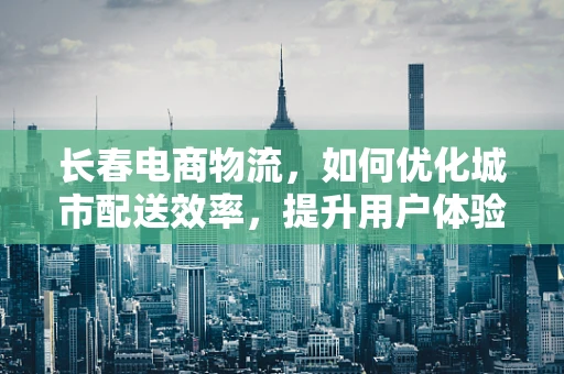 长春电商物流，如何优化城市配送效率，提升用户体验？