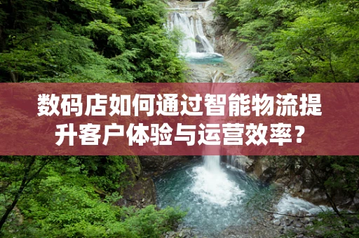 数码店如何通过智能物流提升客户体验与运营效率？