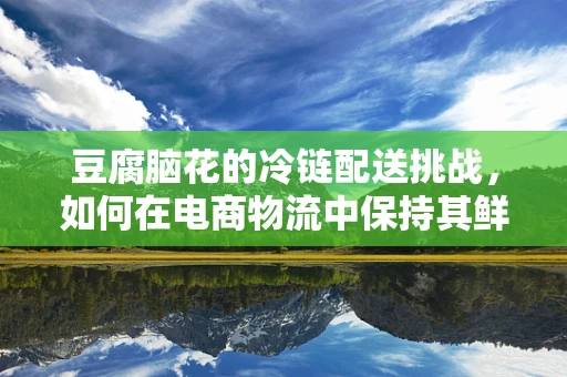 豆腐脑花的冷链配送挑战，如何在电商物流中保持其鲜嫩与营养？