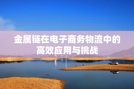 金属链在电子商务物流中的高效应用与挑战