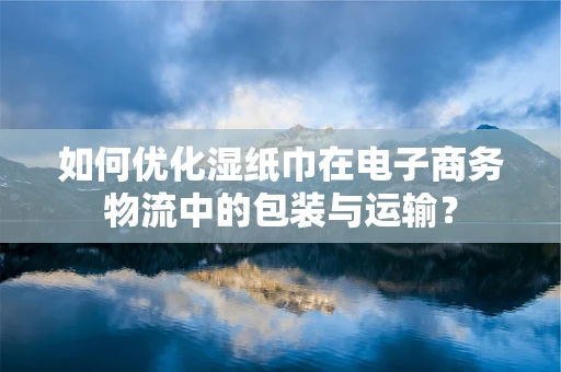 如何优化湿纸巾在电子商务物流中的包装与运输？