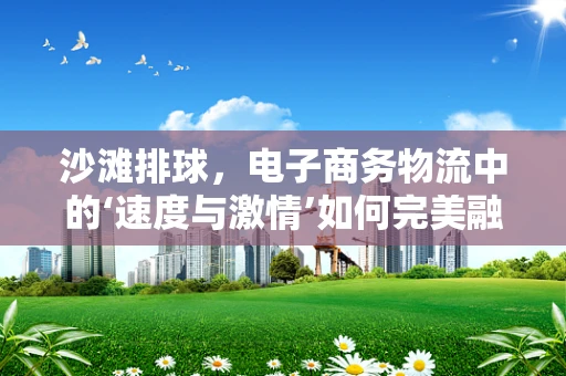 沙滩排球，电子商务物流中的‘速度与激情’如何完美融合？