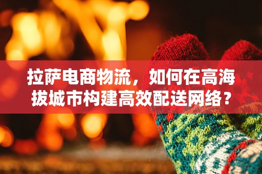拉萨电商物流，如何在高海拔城市构建高效配送网络？