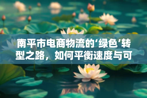 南平市电商物流的‘绿色’转型之路，如何平衡速度与可持续性？