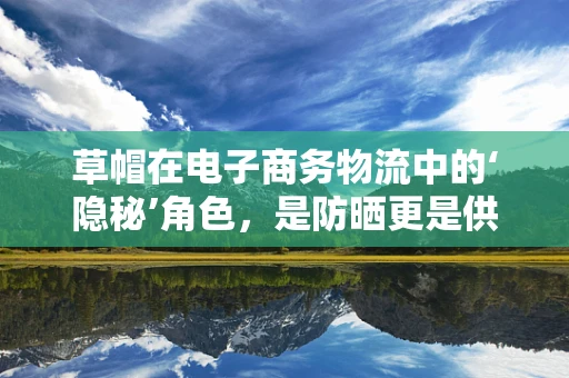 草帽在电子商务物流中的‘隐秘’角色，是防晒更是供应链的守护者？