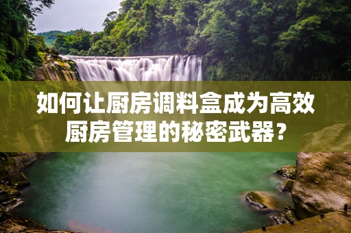 如何让厨房调料盒成为高效厨房管理的秘密武器？